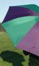 Purple/Green Golf Umbrella Thumbnail Purple/Green Golf Umbrella Thumbnail