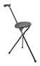 Black Economy Folding Seat Stick Thumbnail