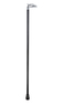 Eagle Handle Dress Cane Thumbnail