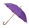 Purple Crook Handle Umbrella Thumbnail
