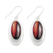 Oval  Earrings