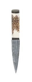Staghorn Damascus Sgian Dubh With Blackwood