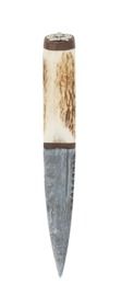 Staghorn Damascus Sgian Dubh Walnut With Thistle