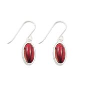 Oval Silver Earrings