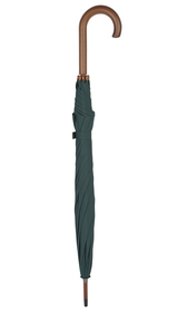 Green Crook Handle Umbrella