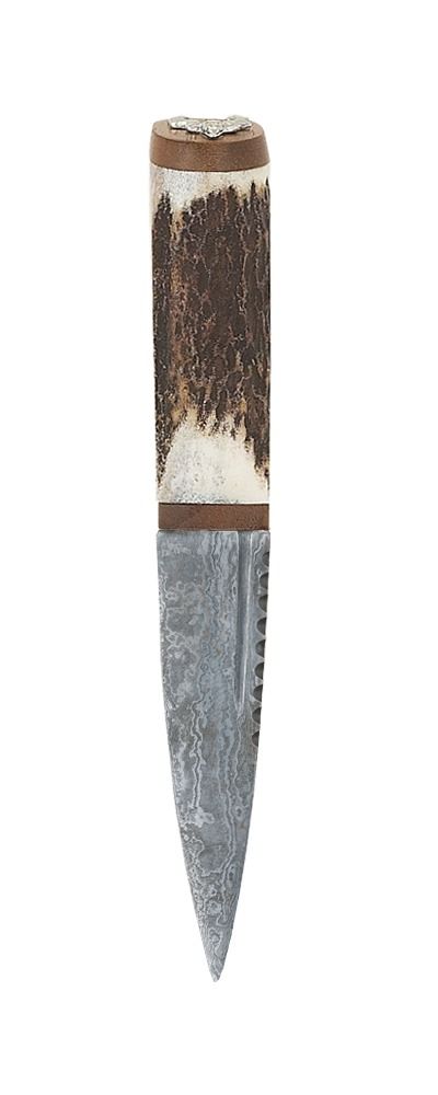 Staghorn Damascus Sgian Dubh Walnut With Stag