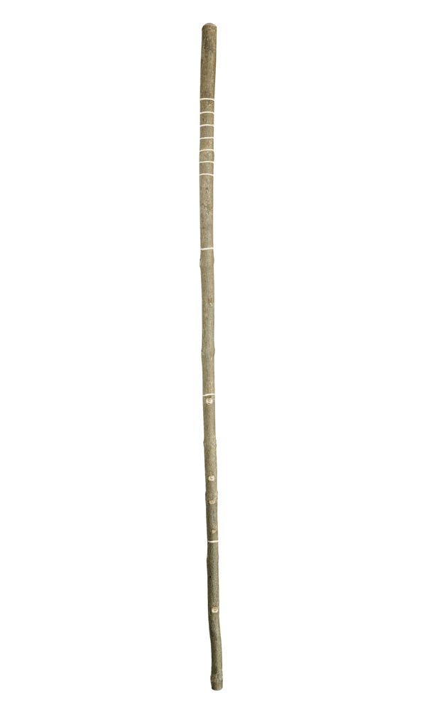 5ft 6" Ash Scout Staff Charles Buyers