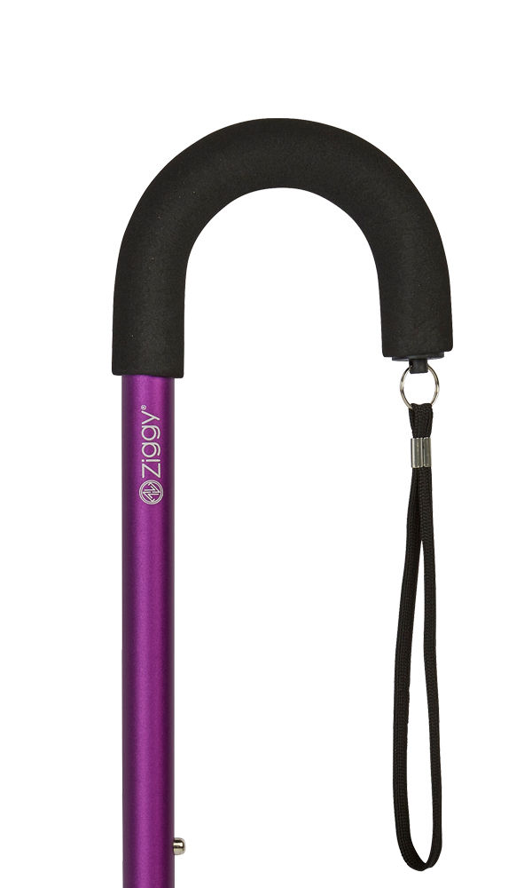 Purple Crook Handle Adjustable Stick