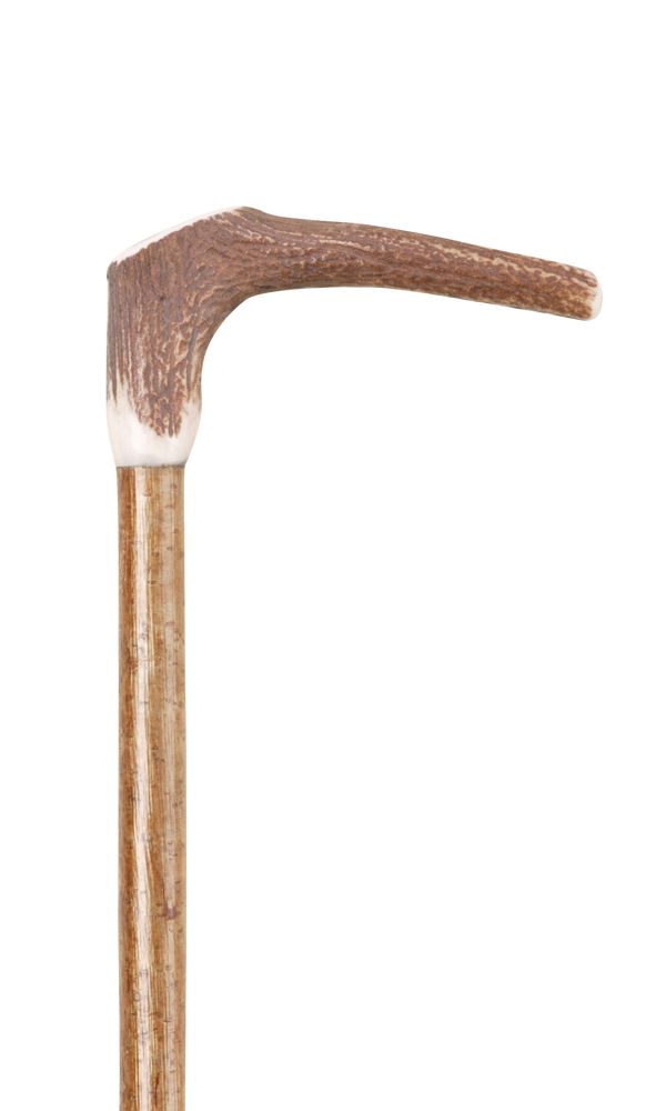 Staghorn Plain Handle Stick