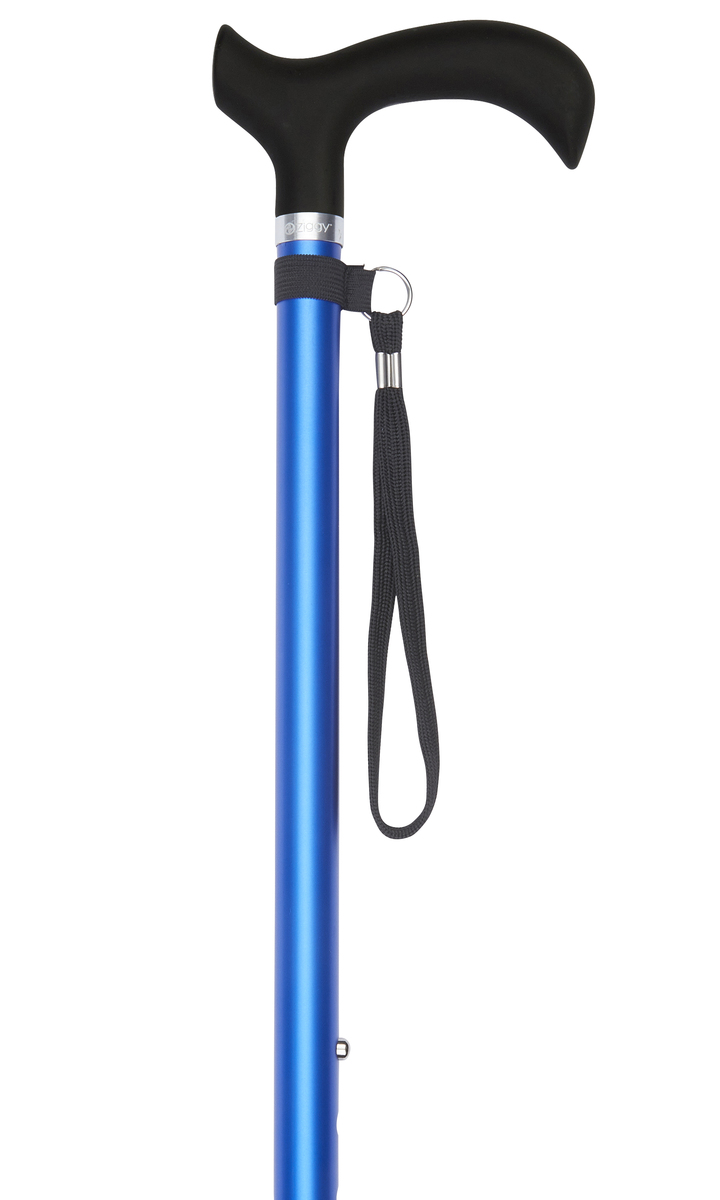 Blue Extra Long Adjustable Stick